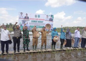 Pj Ketua Tim Penggerak PKK Kabupaten Paluta Terima Kunjungan Pj Ketua Tim Penggerak PKK Provinsi Sumatera Utara