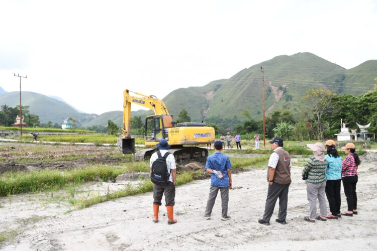 Pemkab Samosir Lanjutkan Penataan Lahan Pertanian Di Kenegerian Sihotang