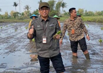 Dinas Pertanian dan Ketahanan Pangan Jatim Siap Gontorkan Pupuk Subsidi