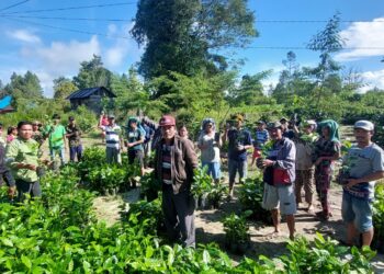 Harga Beras Meroket, Kapolres Pringsewu Cek Stock dan Harga Bahan Pokok di Pasaran