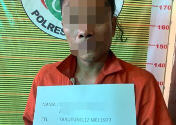 Polres Samosir Berhasil Mengungkap Penanaman Ganja: Seorang Laki-laki Diamankan