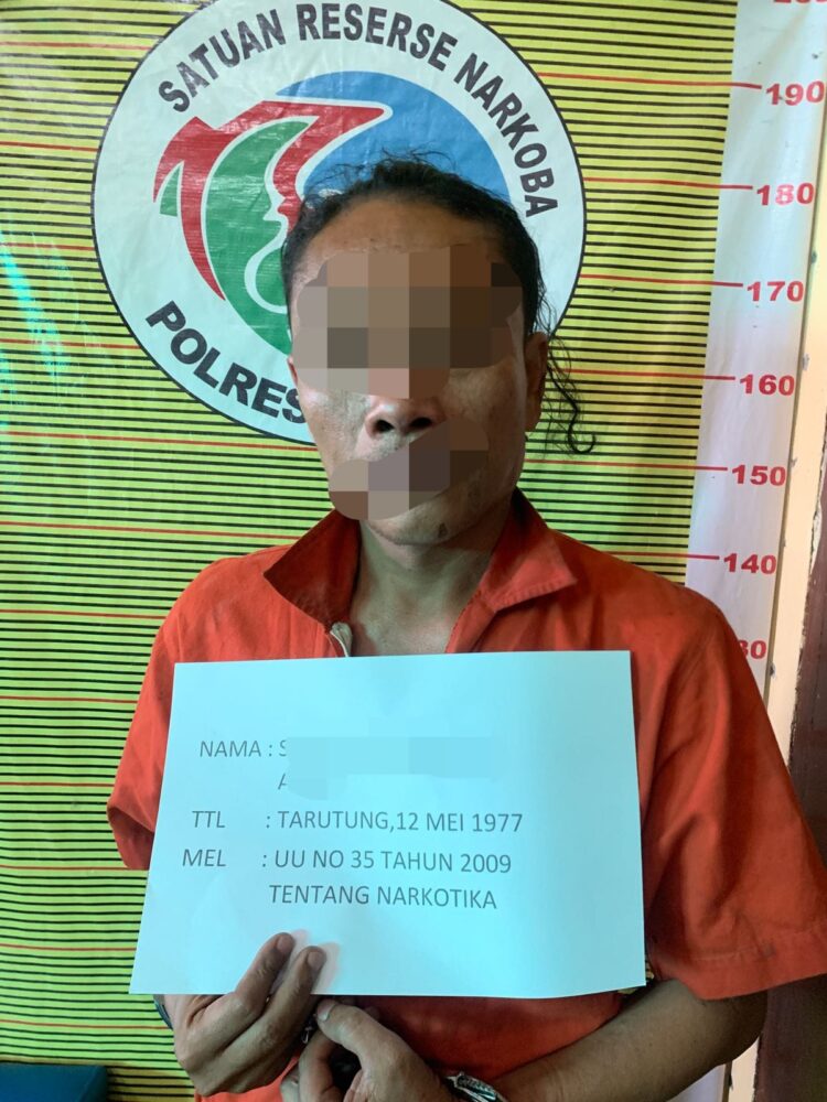 Polres Samosir Berhasil Mengungkap Penanaman Ganja: Seorang Laki-laki Diamankan