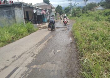 Sepanjang Jalan Tangkil Caringin Diduga Dalam Pemeliharaan Terabaikan