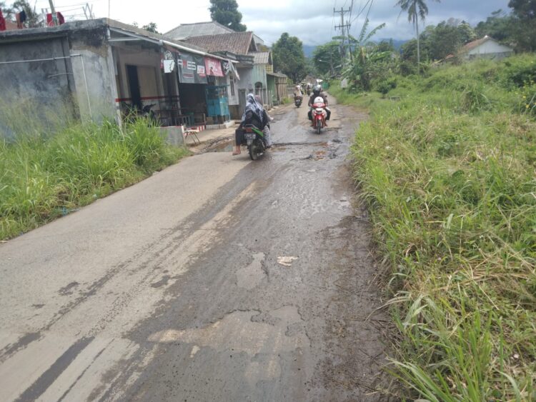 Sepanjang Jalan Tangkil Caringin Diduga Dalam Pemeliharaan Terabaikan