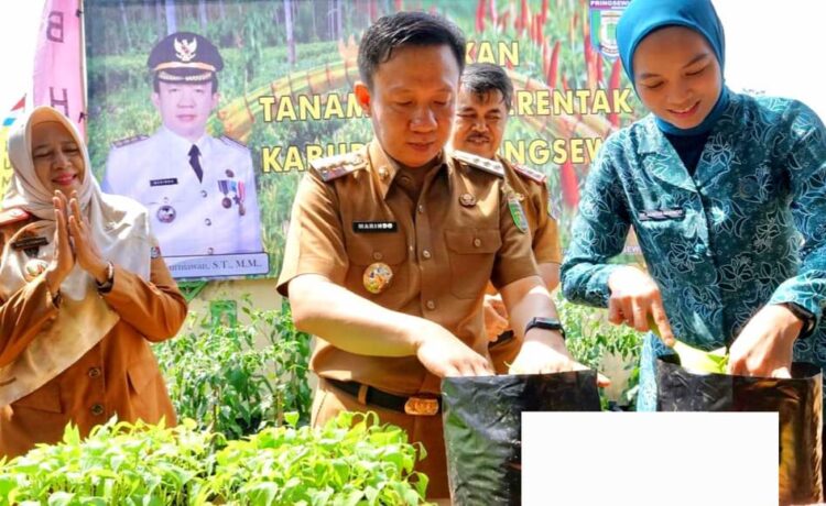 Pemkab Pringsewu Adakan Gerakan Serentak Menanam Cabai