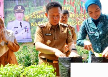 Pemkab Pringsewu Laksanakan Gerakan Pangan Murah Serentak 2024