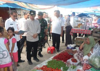 Pj.Bupati Padang Lawas Utara Monitoring Bahan Pokok Penting