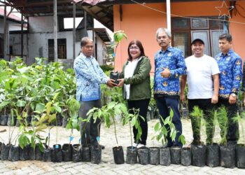 Pemkab Samosir Terima Bantuan Bibit Tanaman Untuk Penahan Longsor dari Dinas Lingkungan Hidup dan Kehutanan Provsu.