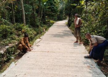 Pembangunan/Peningkatan Jalan Sumber Dana Dari DDS 2024 di Desa Kemuning Kec.Tunjung Teja Sesuai Volume / RAB