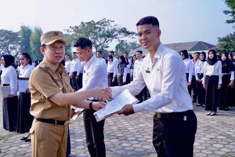 ASN PPPK Pemkab Pringsewu Formasi 2023 Terima SK