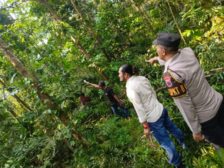 Cari Pakan Ternak, Warga Kutasari Meninggal Jatuh dari Pohon Mahoni