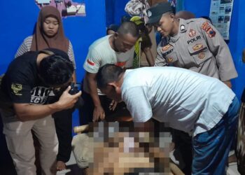 Lansia di Kemangkon Meninggal Jatuh dari Pohon Kelapa