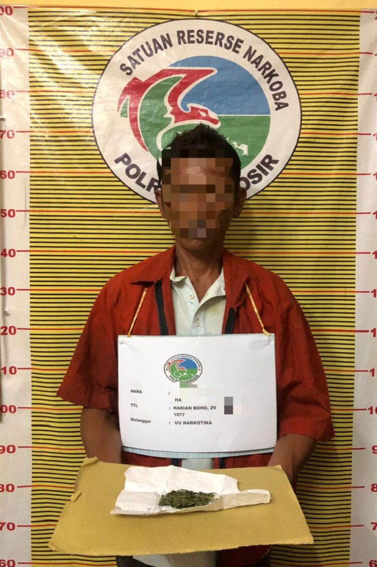 Polres Samosir Amankan PTHS atas Kepemilikan Narkotika Jenis Ganja