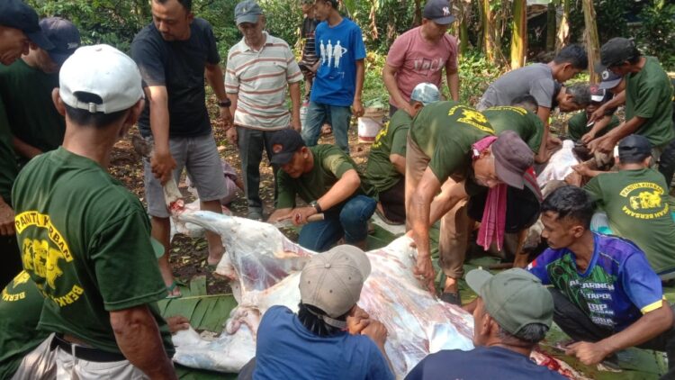 Panitia Kurban Berkah Bersama (PKBB) Dilaksanakan Setelah Selesai Shalat Ied Idul Adha 1445H/2024M