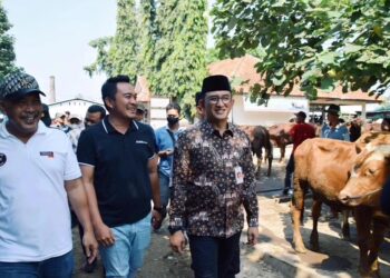Jelang Idul Adha, Pj Bupati Bersama Dinkannak Banyumas Monitoring Kesehatan dan Stok Hewan Ternak
