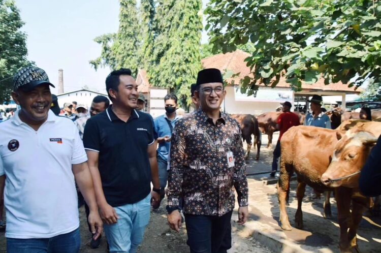 Jelang Idul Adha, Pj Bupati Bersama Dinkannak Banyumas Monitoring Kesehatan dan Stok Hewan Ternak