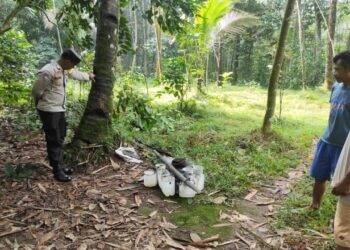Jatuh dari Pohon Kelapa, Penderes di Kutasari Purbalingga Meninggal Dunia