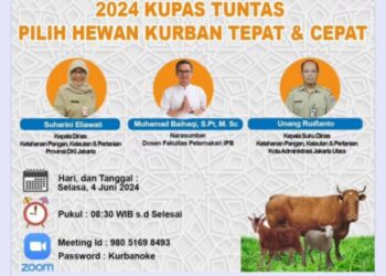 Sudin KPKP Jakut Adakan Webinar Bahas Hewan Kurban