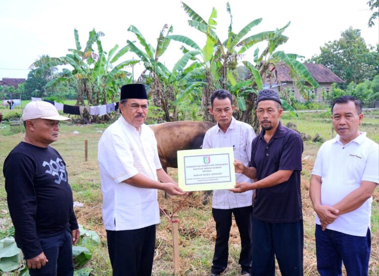 Pemkab Pringsewu Serahkan Hewan Qurban
