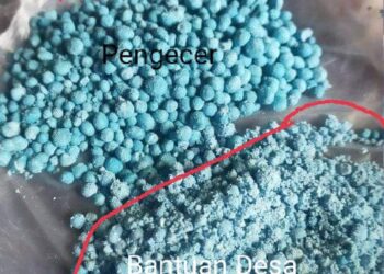 Penggunaan Dana Desa T.A 2023 Desa Traju, Diduga Jadi Sarat Korupsi