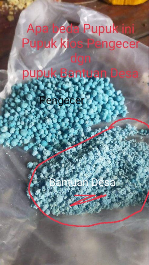 Penggunaan Dana Desa T.A 2023 Desa Traju, Diduga Jadi Sarat Korupsi