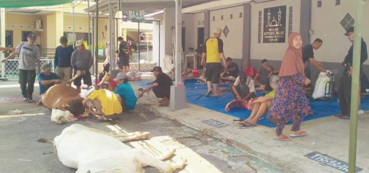 Sambut Hari Raya Idhul Adha 1445H, Warga RW 21 Perumnas Subang Potong 4 Ekor Sapi Qurban Dan 5 Ekor Domba