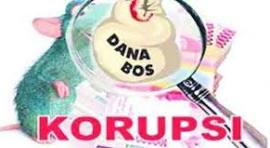 Kepala SD Negeri Gabus 1, Kecamatan Kopo, Kabupaten Serang, Diduga Korupsi Dana BOS Reguler Thn 2022-2023 Rp.552 Juta Lebih