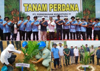 Pelaksanaan Tanaman Perdana Oleh PTPN IV Adolina