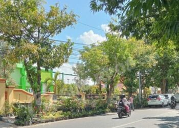 Pemerintah Sumenep Tak Bertaring Hadapi Pedagang Hias, Ketua LPKP2HI Angkat Suara