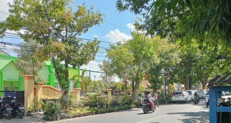 Pemerintah Sumenep Tak Bertaring Hadapi Pedagang Hias, Ketua LPKP2HI Angkat Suara