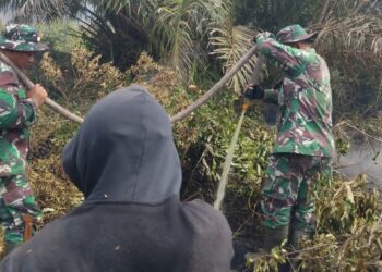 Personel Koramil Jajaran Kodim 0321/Rohil Bersinergi Dengan Tim Gabungan Lakukan Verifikasi dan Pemadaman Titik Api di Wilayah Kabupaten Rohil