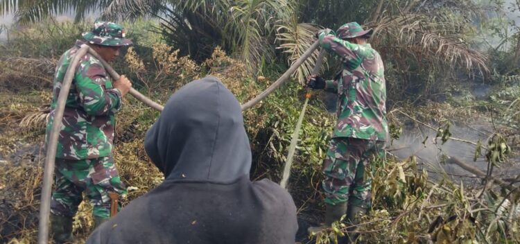 Personel Koramil Jajaran Kodim 0321/Rohil Bersinergi Dengan Tim Gabungan Lakukan Verifikasi dan Pemadaman Titik Api di Wilayah Kabupaten Rohil