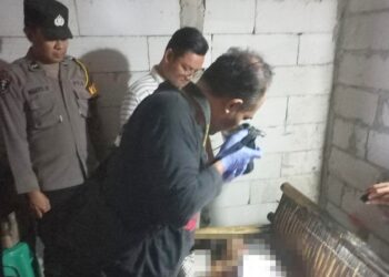 Terjadi Lagi, Penderes Meninggal Jatuh dari Pohon Kelapa di Kutasari