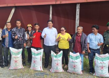 Bupati Samosir Berikan Pupuk Gratis 19,1 Ton Untuk Petani Kecamatan Nainggolan