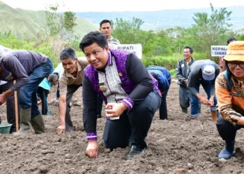 Bukti Kepedulian Bupati Samosir Tanam Bawang Bersama Poktan Desa Hariara Pohan.