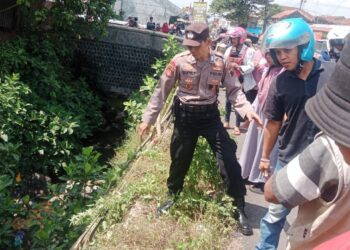 Pengemudinya Masih Belajar, Pikap Masuk Saluran Irigasi di Kutasari Purbalingga
