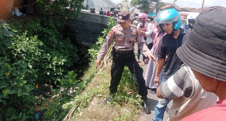 Pengemudinya Masih Belajar, Pikap Masuk Saluran Irigasi di Kutasari Purbalingga