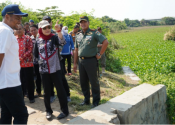 Bupati Indramayu dan BBWS Cimancis Sinergi Normalisasi Sungai Cimanuk Lama
