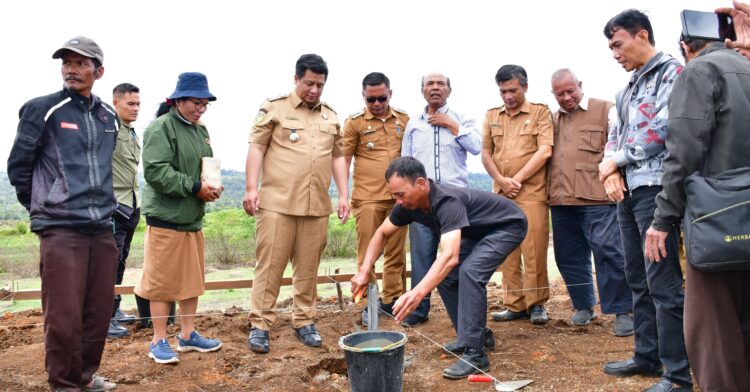 Bangun SCREEN HOUSE Buah Dan Sayur, Bupati Samosir Letakkan Batu Pertama