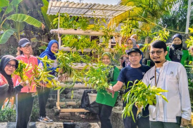 Lurah Bersama PKK Panen Kangkung di Halaman Kantor Kelurahan Jatinegara Kaum