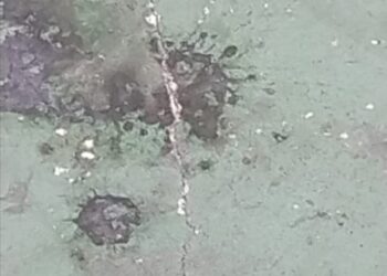 Kasudispora Jakarta Barat Diduga Lindungi Pengusahaa Binaan, Berpotensi Rugikan Keuangan Negara