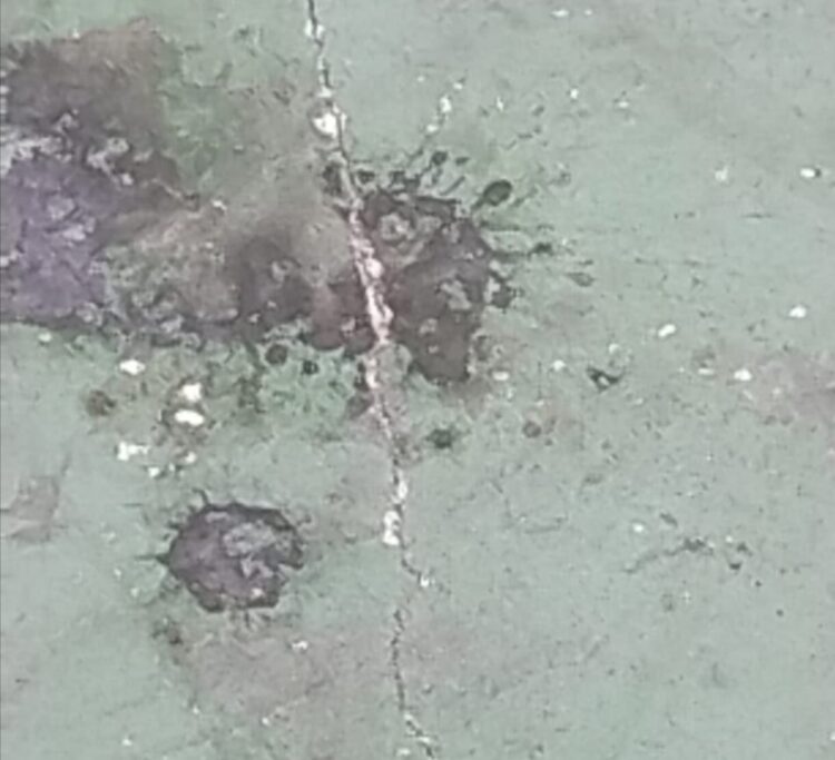 Kasudispora Jakarta Barat Diduga Lindungi Pengusahaa Binaan, Berpotensi Rugikan Keuangan Negara