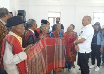 Melalui Aplikasi Zoom Satika Simamora Menyapa Ribuan Pendukungnya Kecamatan Pangaribuan