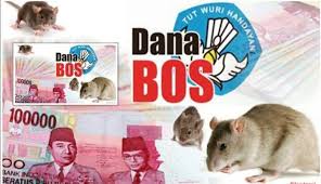 Dana BOS Thn 2022-2023 Diterima SD Negeri Serang 20, Kecamatan Serang, Kota Serang Rp.679, Diduga Dikorupsi