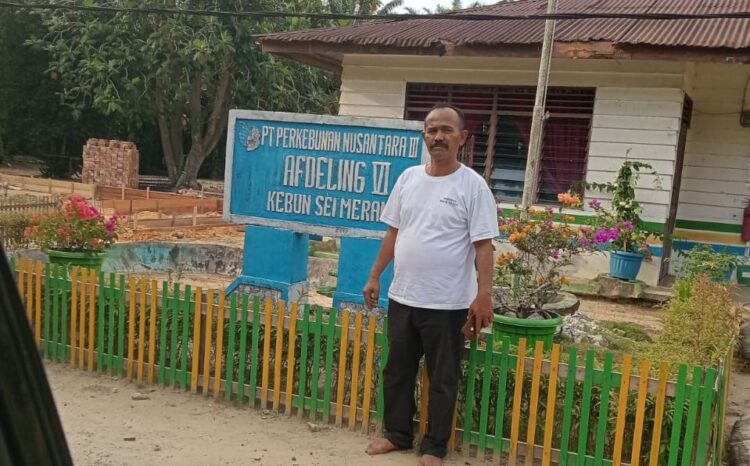 Kinerja Perkebunan Afdeling VI Kebun Sei Meranti  PTP.Nusantara 3 Diduga Tidak Sesuai SOP