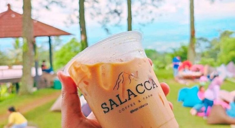 Cafe Salacca Gunung Salak Dengan View Alam Pegunungan