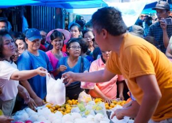 Satika Simamora Blusukan ke Pasar Sarulla Pahae Jae, Ratusan Pengunjung dan Pedagang Heboh