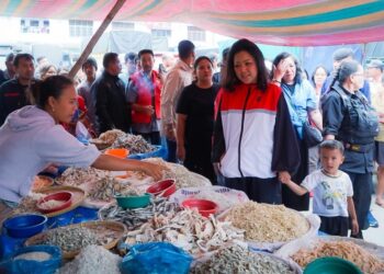 Ribuan Lansia Kecamatan Pangaribuan Sepakat Unutk Memilih Satika Simamora  Perhelatan Pilkada 27 November Mendatang