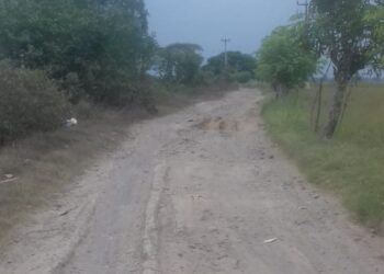 KUD Mina Karya Baru Harapkan Infrastruktur Jalan Menuju Pelelangan Ikan Dapat Perhatian dari Pemkab Subang