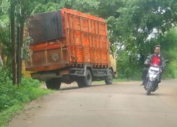 Kandang Ayam Menjadi Faktor Pencemaran Udara